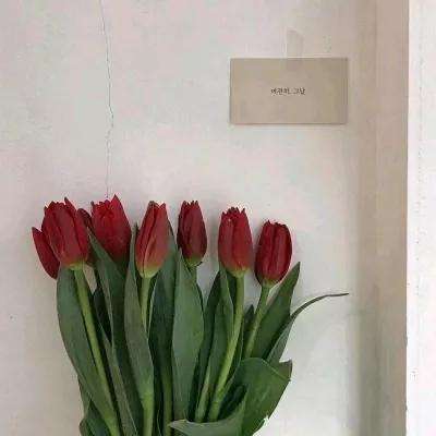 街头激战百度手游下载