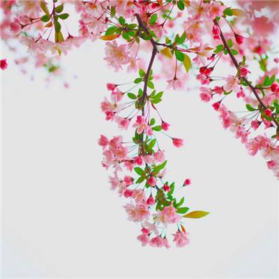 一剑轩辕qq登录版本下载